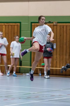 Bild 136 - Damen HSG Kremperheide/M�nsterdorf - Suchsdorfer SV : Ergebnis: 39:22